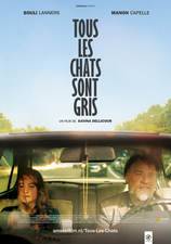 Tous les chats sont gris