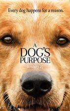 Filmposter A Dog's Purpose