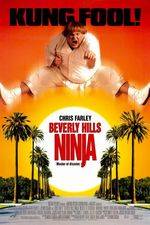 Filmposter Beverly Hills Ninja