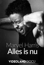 Filmposter Marvel Harris: Alles Is Nu