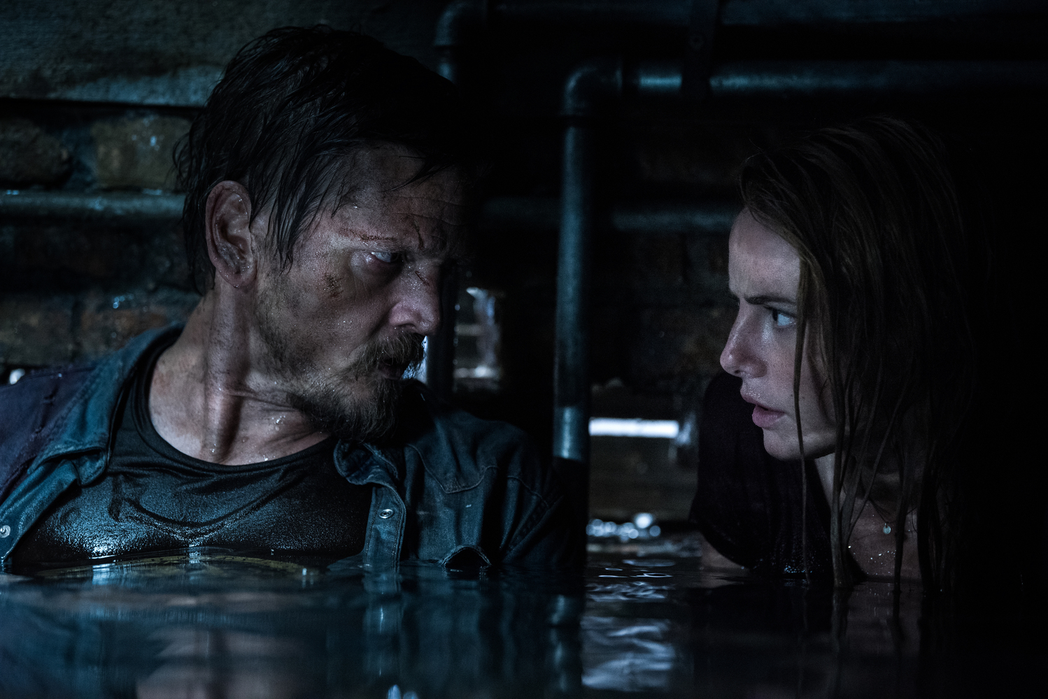 https://filmfeed.tera.nl/api/images/download/127333-ab7b89a18558f315edab303ce63b10547e4a87b1/{maxWidth}x{maxHeight}.(jpg|png)