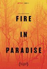 Filmposter Fire in Paradise