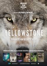 Filmposter Yellowstone
