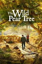 Filmposter The Wild Pear Tree