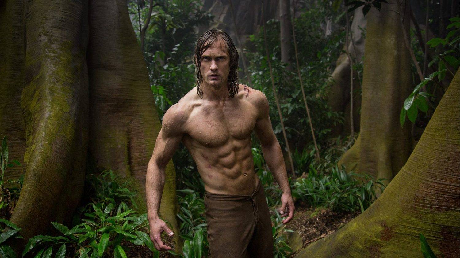 https://filmfeed.tera.nl/api/images/download/142960-e06c6375dd95456dbce8b1f6e9655f050f383cd1/{maxWidth}x{maxHeight}.(jpg|png)