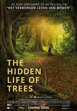 Filmposter The Hidden Life of Trees