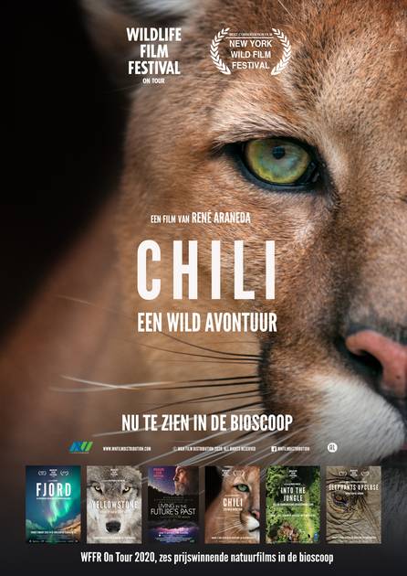 Chili kijken? | Stream, Bioscooptijden, trailers, tickets - MrMovie