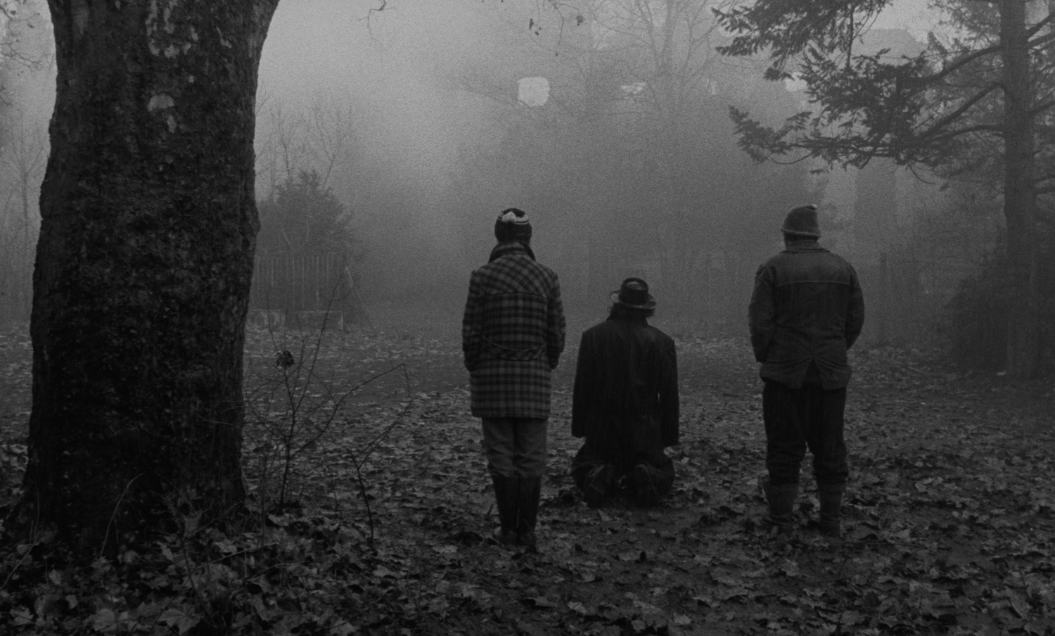 https://filmfeed.tera.nl/api/images/download/168385-5f91e094116a1169a894b98f7f0e1096f610a1c9/{maxWidth}x{maxHeight}.(jpg|png)