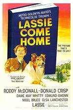 Filmposter Lassie