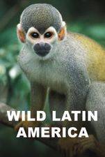 Wild Latin America
