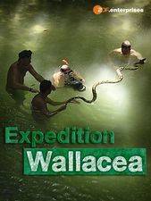 Filmposter Wallacea - Expedition zur Wiege der Meeresfauna