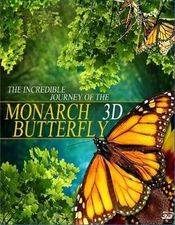 Filmposter Flight Of The Monarch Butterfly