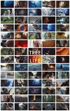 Filmposter The Tree of Life