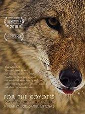 The Coyotes