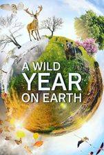 Serieposter A Wild Year On Earth