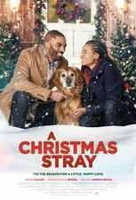 Filmposter A Christmas Stray