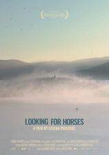 Filmposter Looking for Horses