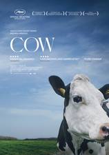 Filmposter Cow
