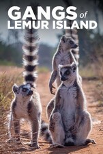Serieposter Gangs Of Lemur Island