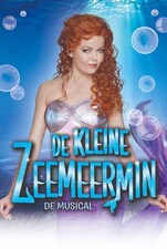 De Kleine Zeemeermin (NL)
