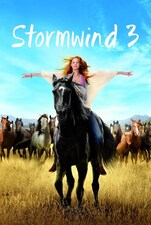 Filmposter Stormwind 3