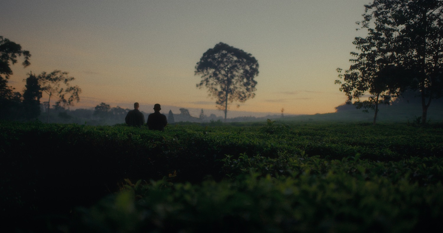 https://filmfeed.tera.nl/api/images/download/210828-d4eb493f30d603b389966d7b819bfa52b1e955eb/{maxWidth}x{maxHeight}.(jpg|png)