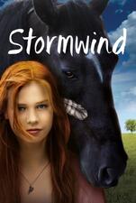 Filmposter Trailer: Stormwind 1