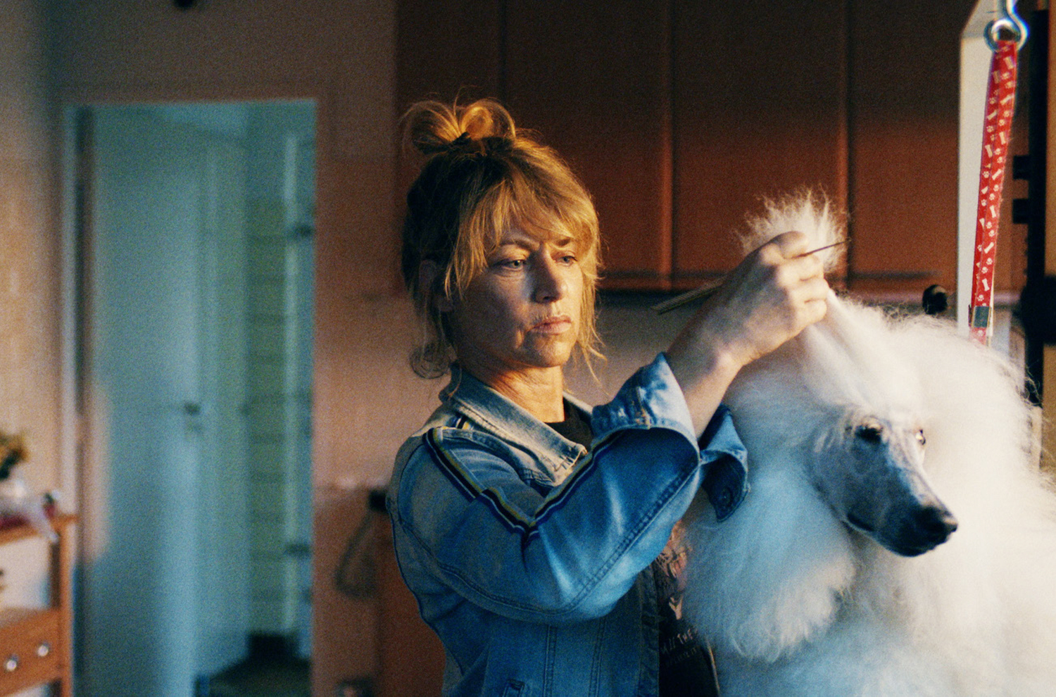https://filmfeed.tera.nl/api/images/download/221813-74f96d85c2a3daddaf622f1c3cdf45f8a154fa19/{maxWidth}x{maxHeight}.(jpg|png)
