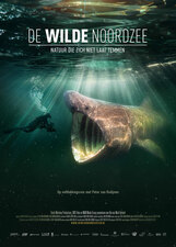 Filmposter De Wilde Noordzee