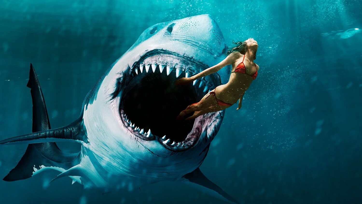 https://filmfeed.tera.nl/api/images/download/224229-7568194ec914858369eb3cd1c0a0ffb92748087f/{maxWidth}x{maxHeight}.(jpg|png)