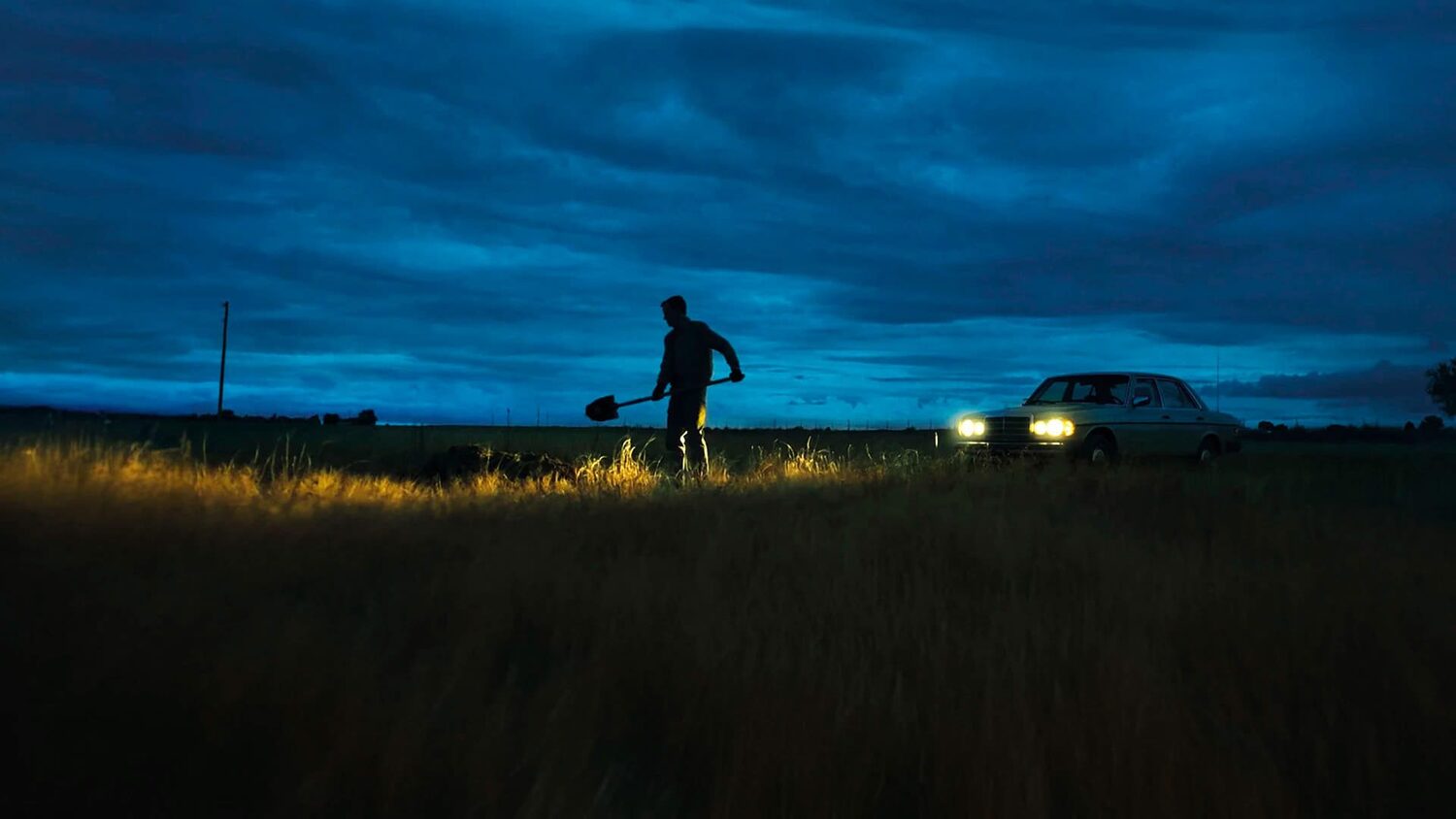 https://filmfeed.tera.nl/api/images/download/225310-b919c1e25fa867df1305467dbd659e9484e07611/{maxWidth}x{maxHeight}.(jpg|png)