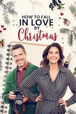 How To Fall In Love By Christmas