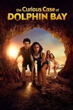 The Curious Case Of Dolphin Bay