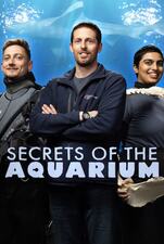 Secrets Of The Aquarium