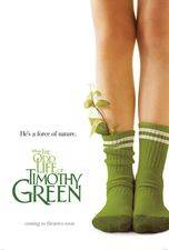 Filmposter The Odd life of Timothy Green