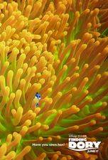 Finding Dory