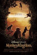 Filmposter Monkey Kingdom