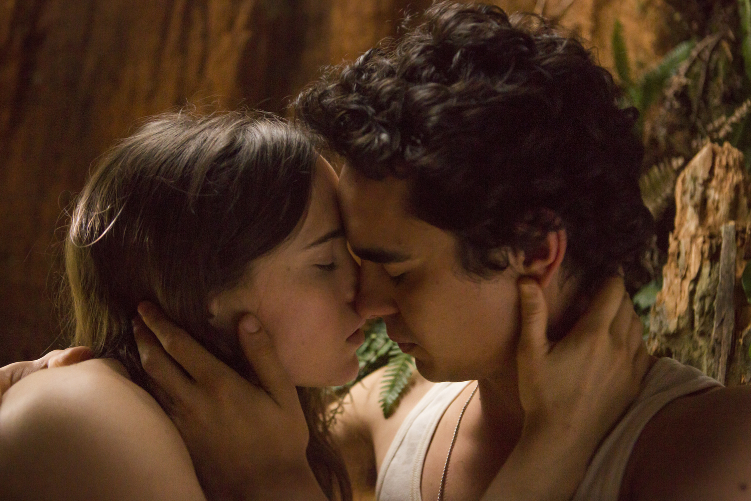 https://filmfeed.tera.nl/api/images/download/65112-681b32139be16ad3e4c4c0817ba2dcda634a0420/{maxWidth}x{maxHeight}.(jpg|png)