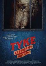 Tyke Elephant Outlaw
